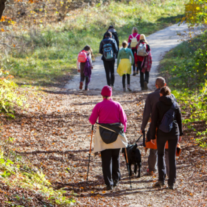 Group Fitness Adventures in Nature